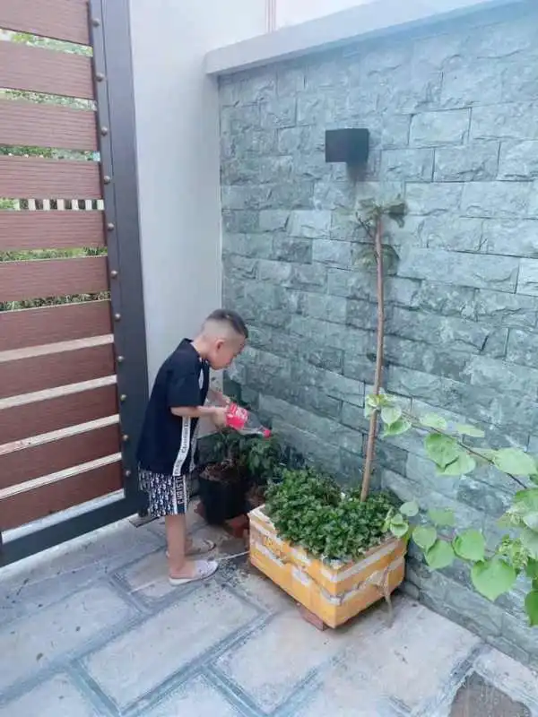 Đá xanh Thanh Hóa ốp tường 10x20cm