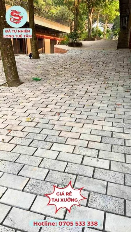 mẫu đá lát sân đẹp - đá tổ ong lát sân 10x20x2cm