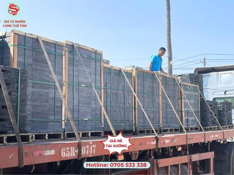 Công ty TNHH Long Tuệ Tâm